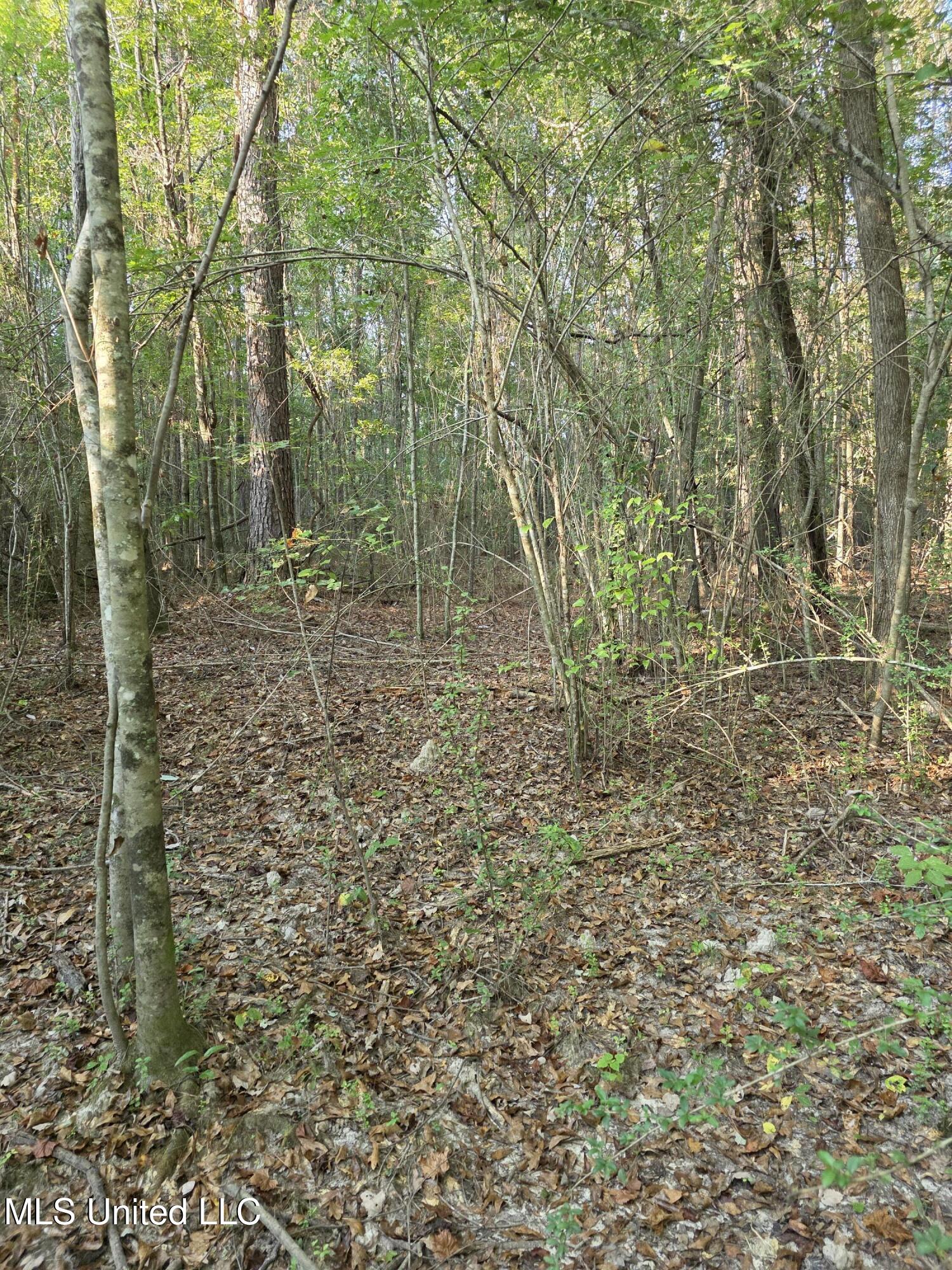 155 County Road Stringer, MS 39481 - Photo 14 of 28 17250