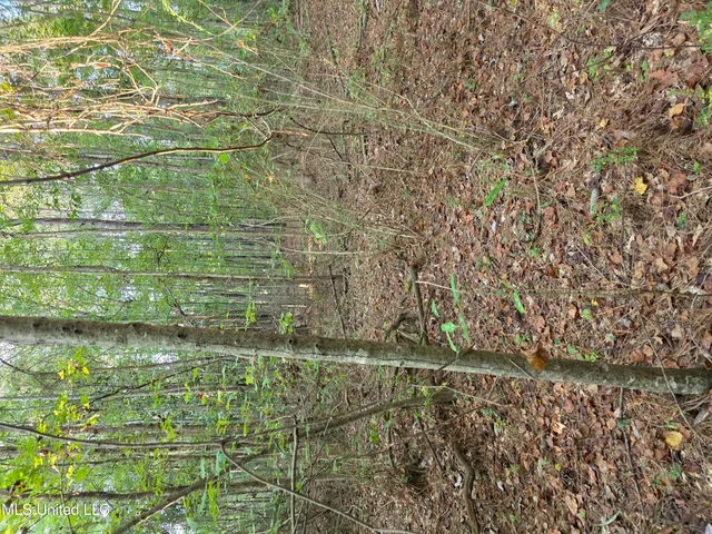 $32,500 | 155 County Road, Stringer, MS 39481