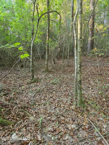 $32,500 | 155 County Road, Stringer, MS 39481