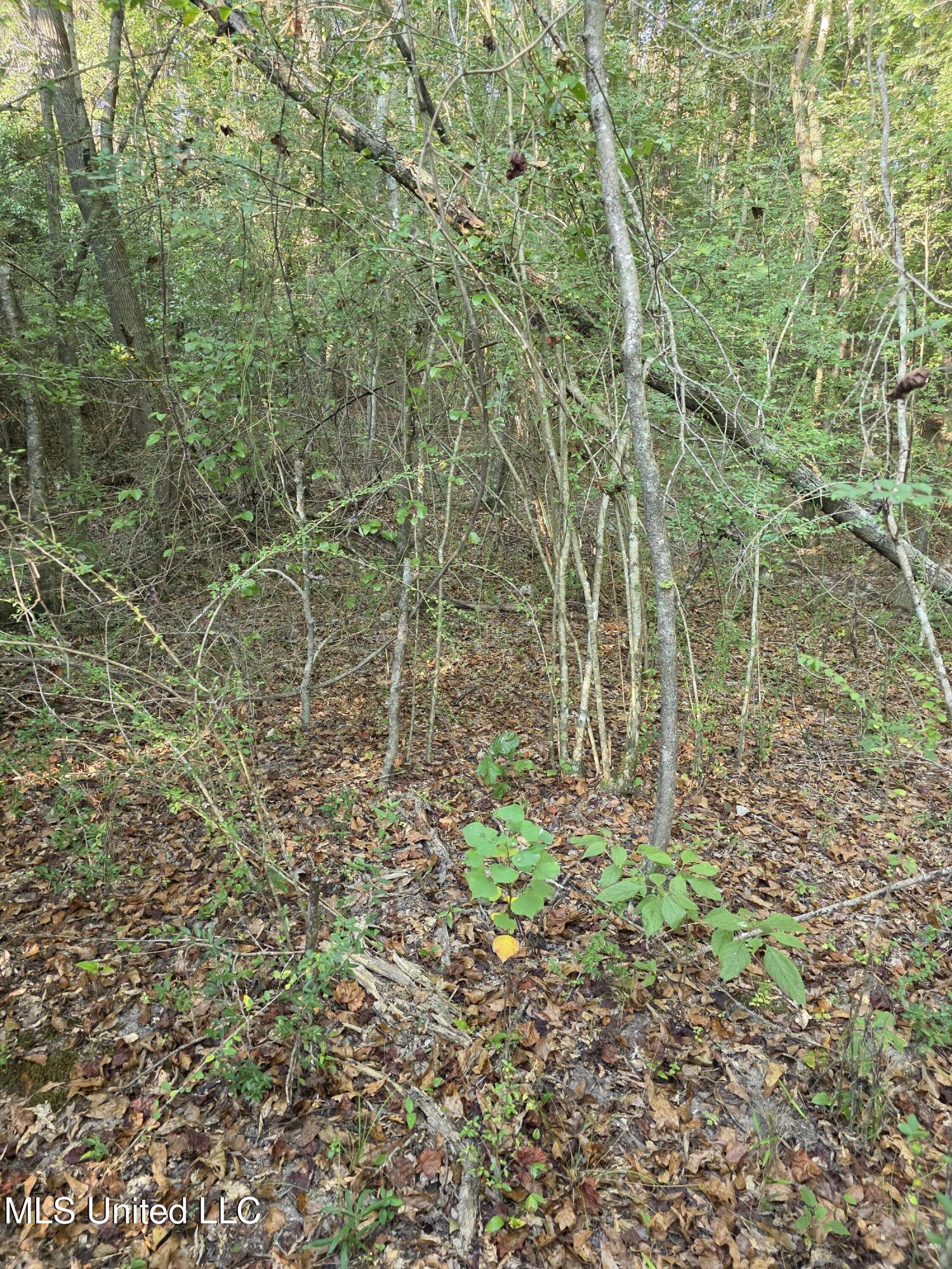 155 County Road Stringer, MS 39481 - Photo 18 of 28 17248