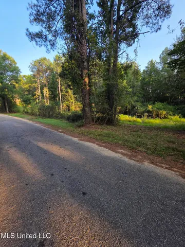 $32,500 | 155 County Road, Stringer, MS 39481
