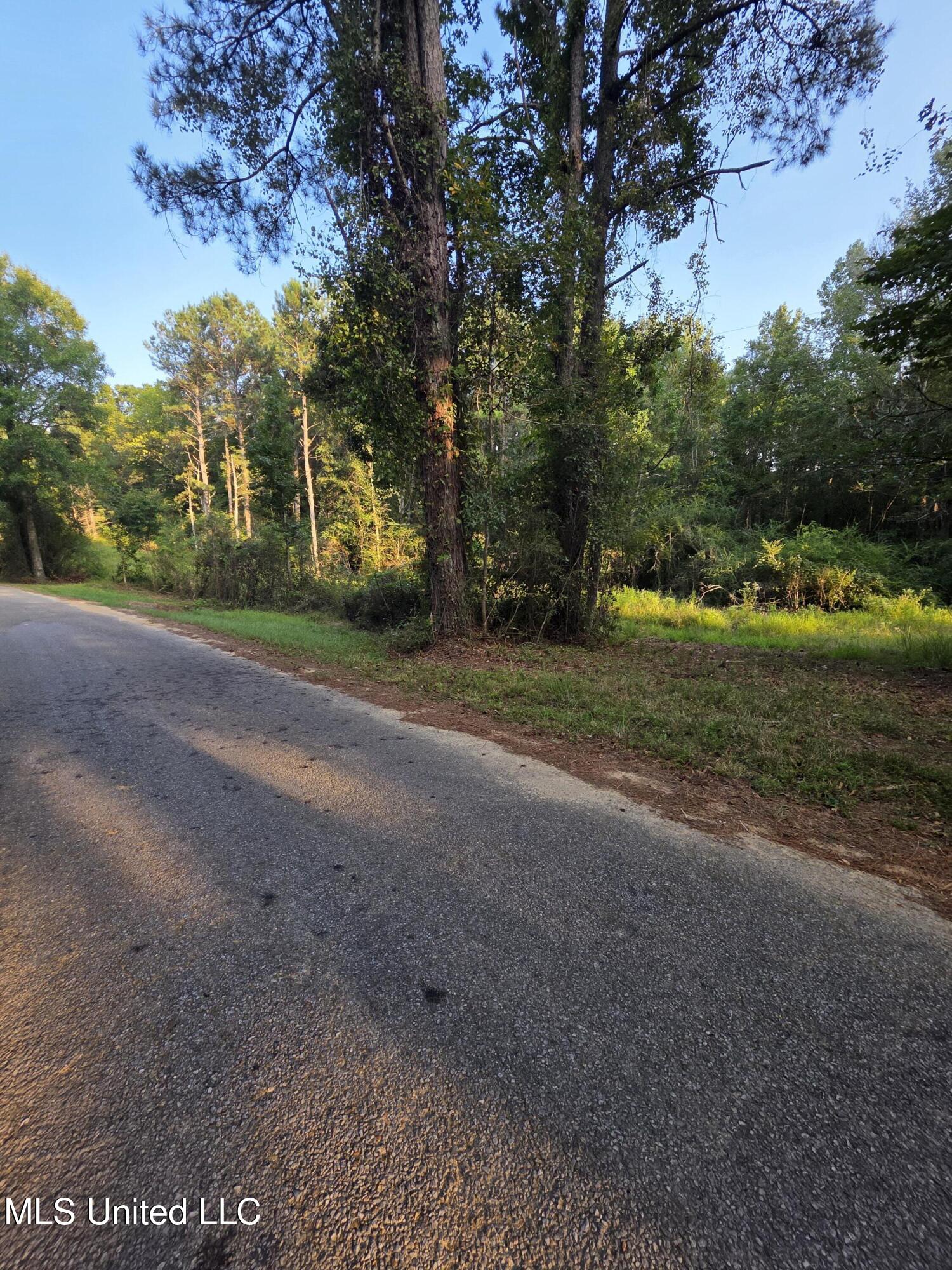 155 County Road Stringer, MS 39481 - Photo 2 of 28 17271