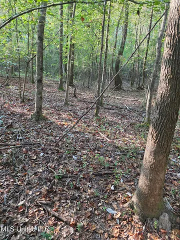 $32,500 | 155 County Road, Stringer, MS 39481