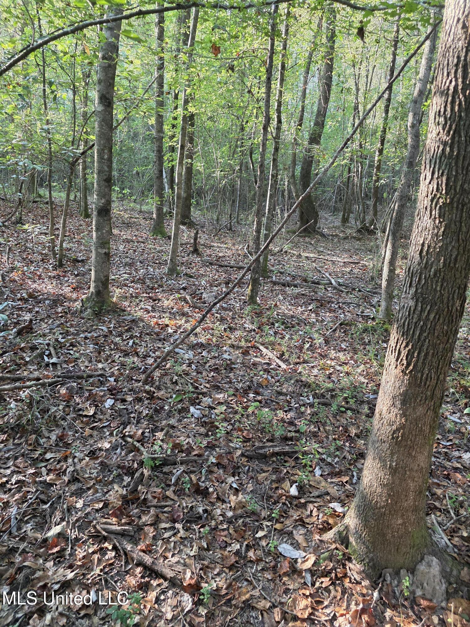 155 County Road Stringer, MS 39481 - Photo 21 of 28 17245