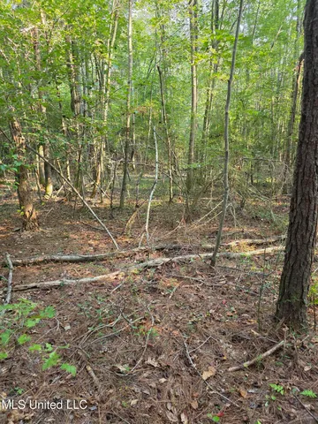 $32,500 | 155 County Road, Stringer, MS 39481