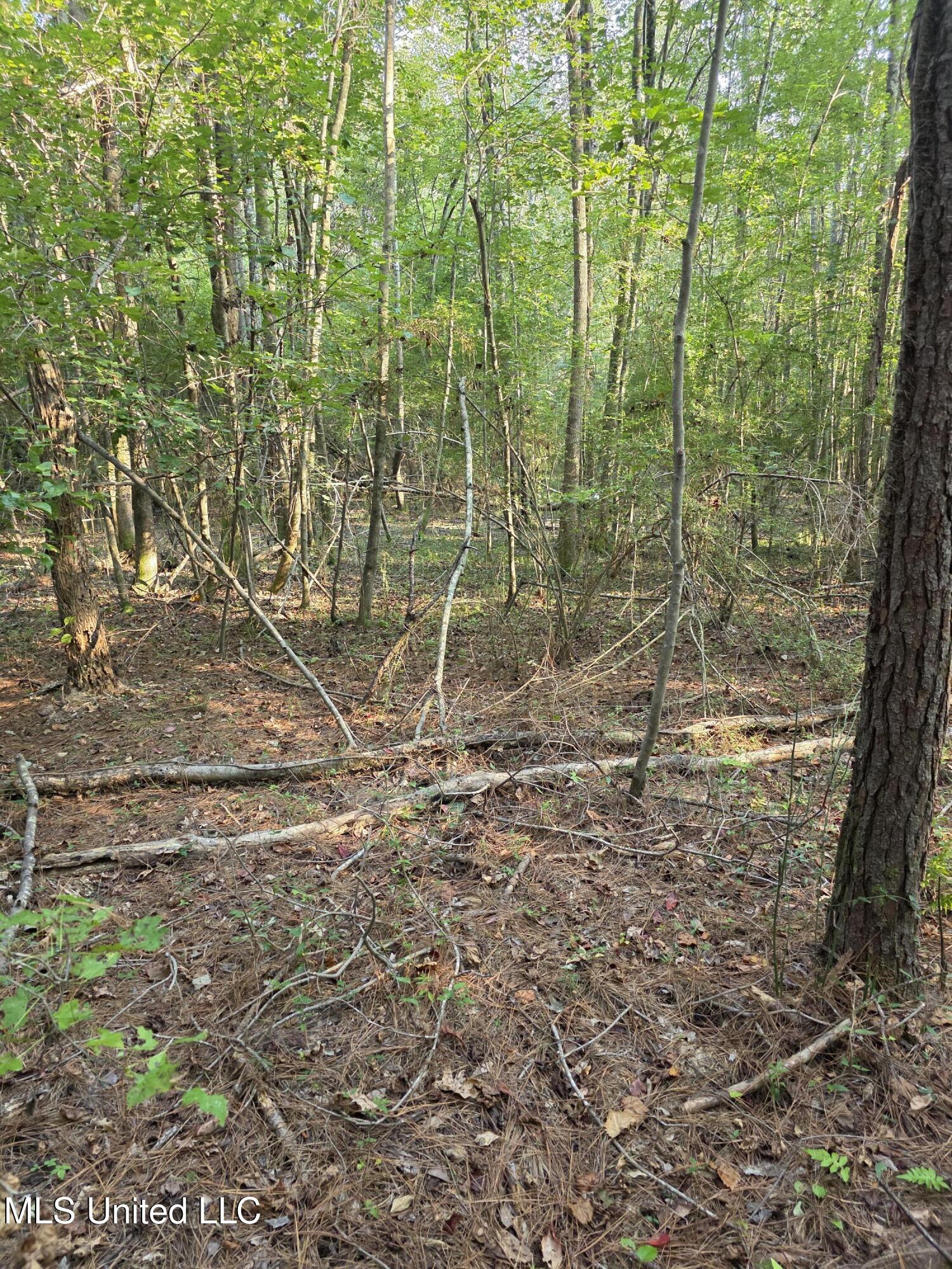 155 County Road Stringer, MS 39481 - Photo 25 of 28 17241