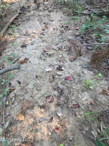 $32,500 | 155 County Road, Stringer, MS 39481