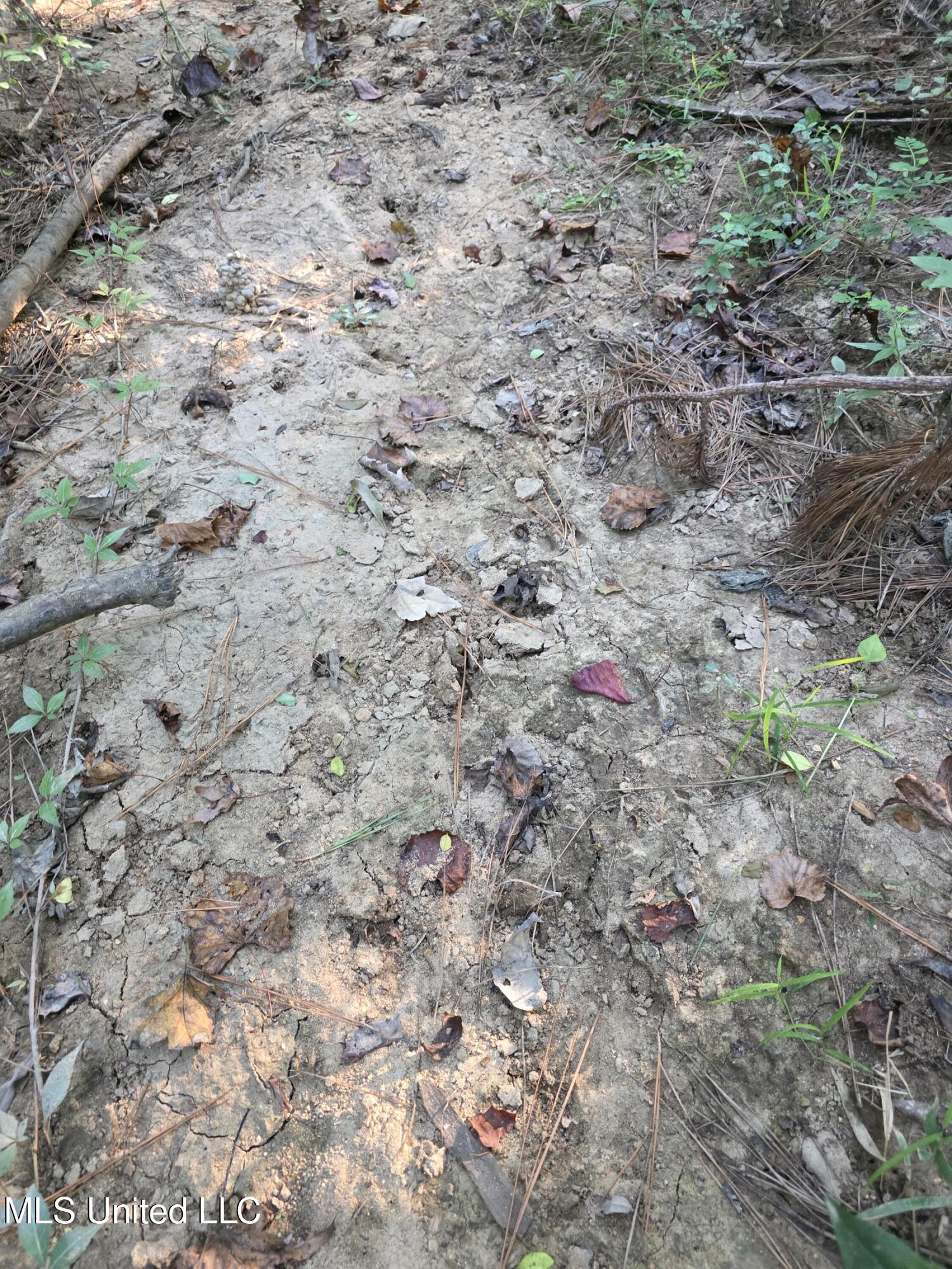 155 County Road Stringer, MS 39481 - Photo 27 of 28 17239