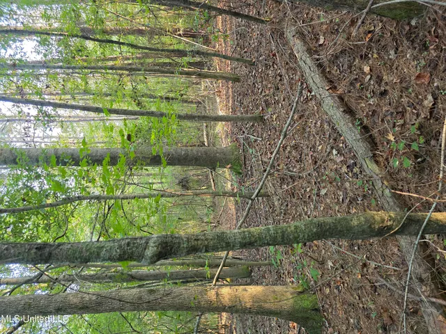 $32,500 | 155 County Road, Stringer, MS 39481