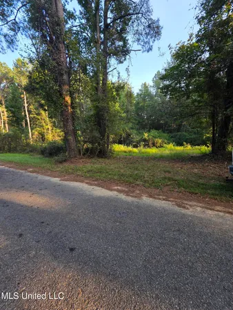 $32,500 | 155 County Road, Stringer, MS 39481