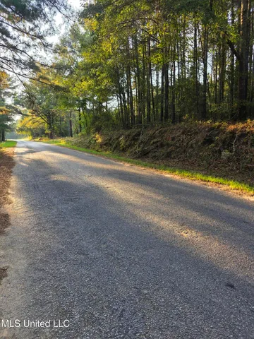 $32,500 | 155 County Road, Stringer, MS 39481
