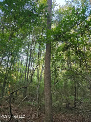 $32,500 | 155 County Road, Stringer, MS 39481