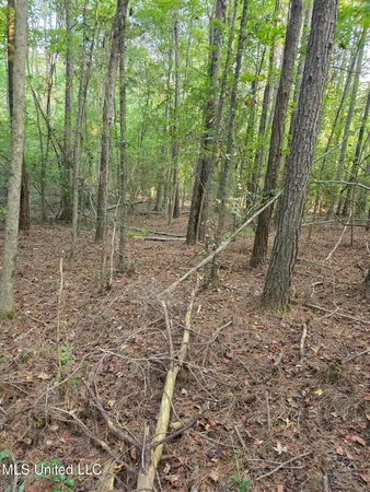 $32,500 | 155 County Road, Stringer, MS 39481