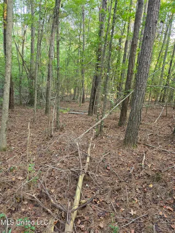 $32,500 | 155 County Road, Stringer, MS 39481