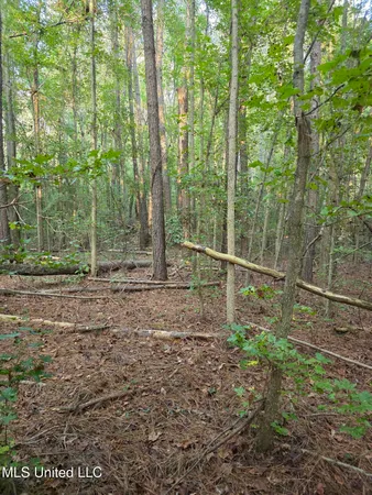 $32,500 | 155 County Road, Stringer, MS 39481