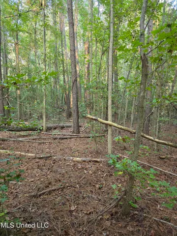 $32,500 | 155 County Road, Stringer, MS 39481