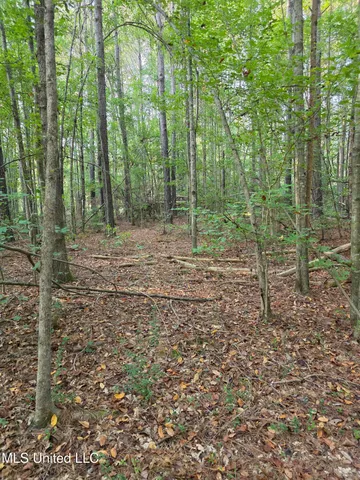 $32,500 | 155 County Road, Stringer, MS 39481