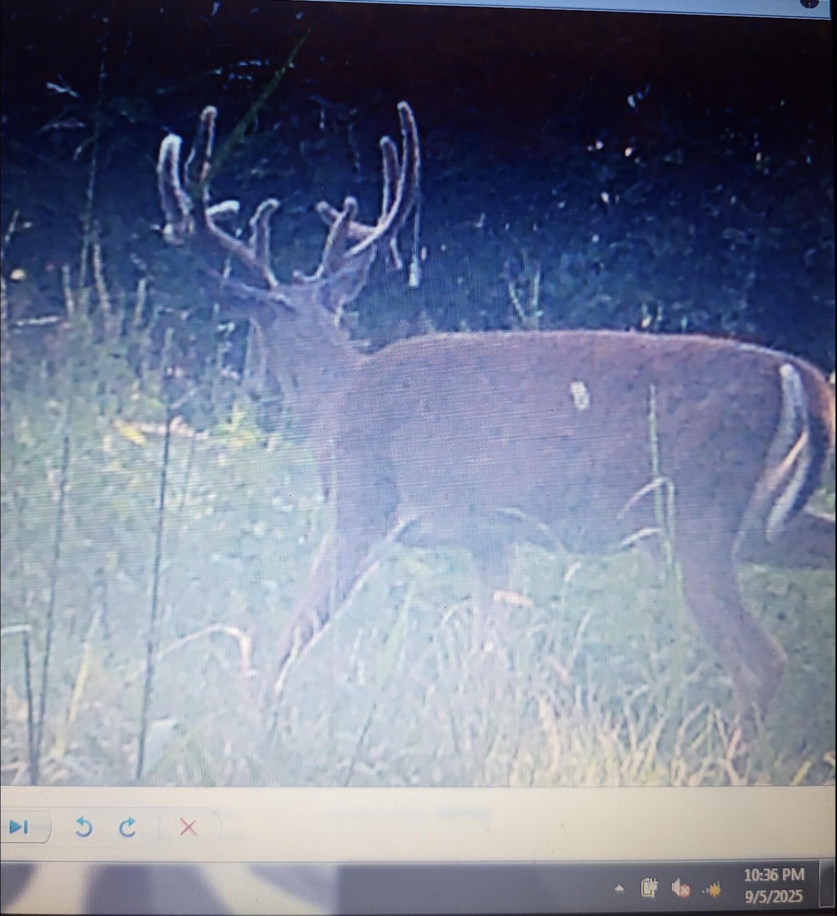3093 South 25th Road Humansville, MO 65674 - Photo 65 of 65 Untitled