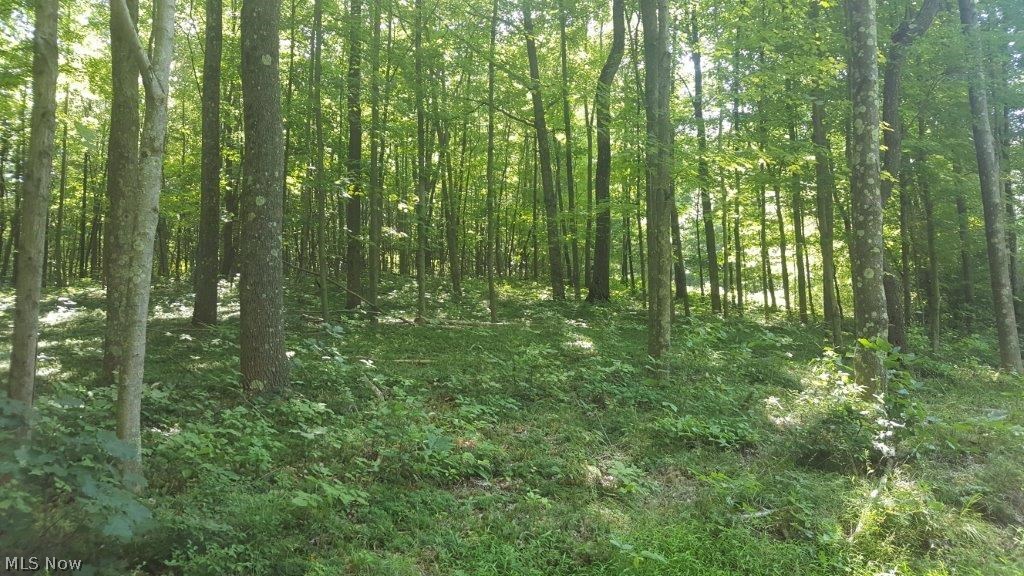 5846 Holmes Church Road Northeast New Philadelphia, OH 44663 - Photo 32 of 34