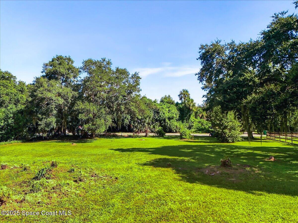 3345 Carter Road Mims, FL 32754 - Photo 3 of 13 a view of a big yard with a trees