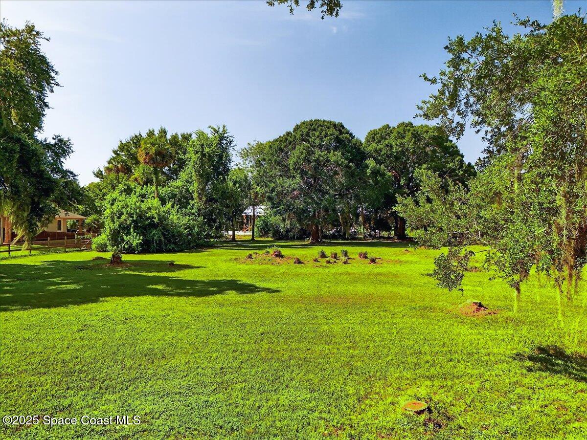 3345 Carter Road Mims, FL 32754 - Photo 4 of 13 a view of yard with swimming pool and green space
