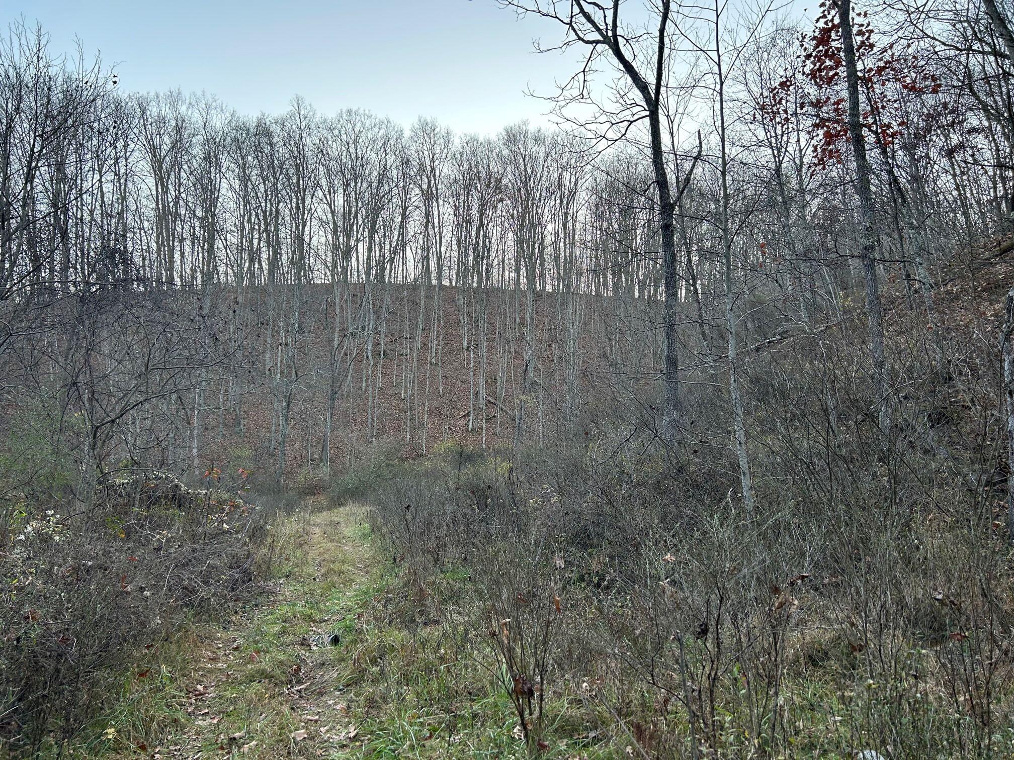 Dale Hollow Road Renick, WV 24966 - Photo 3 of 17 Gallery Image 3