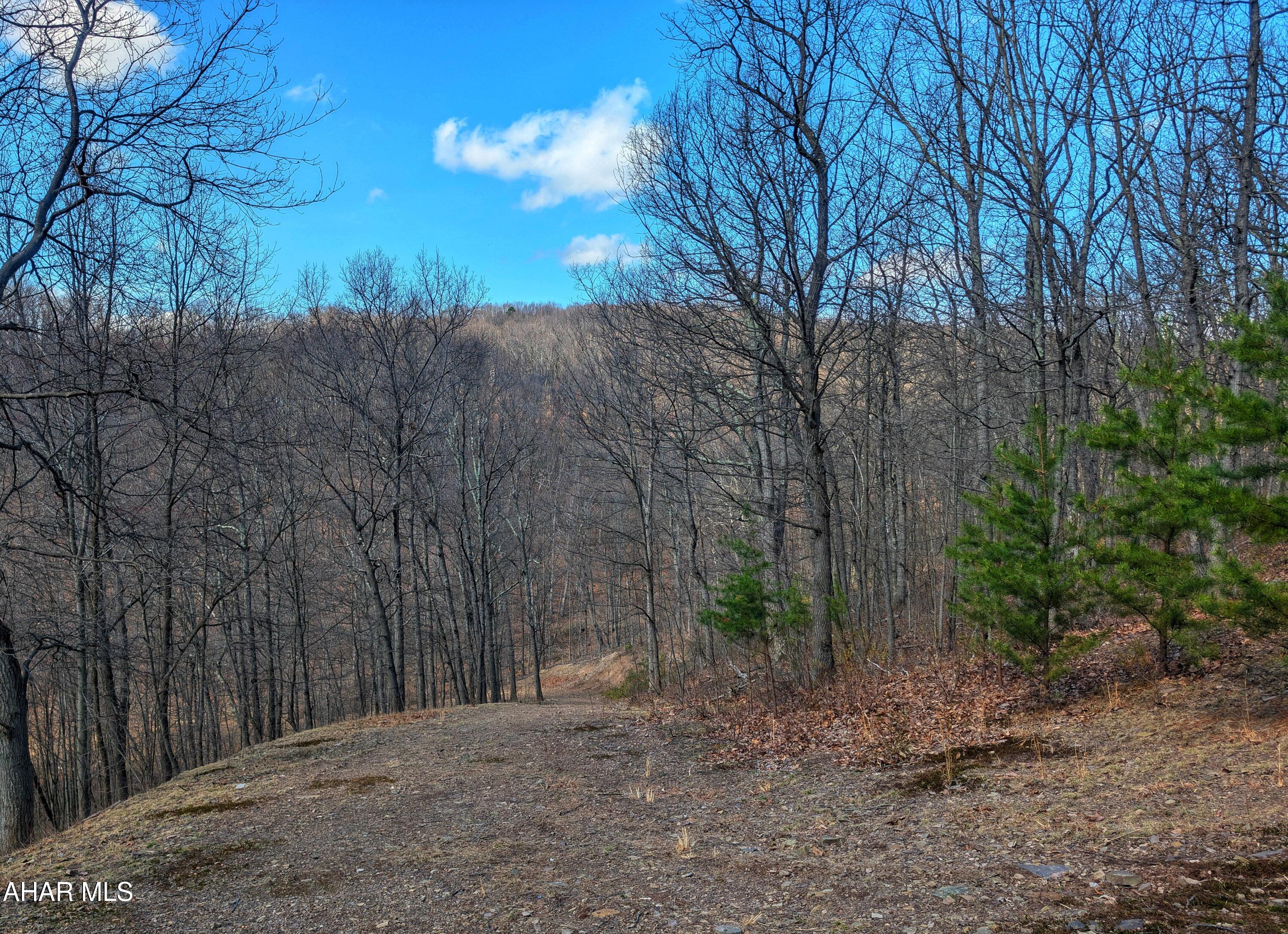 0 Pine Ridge Road Saxton, PA 16678 - Photo 22 of 23