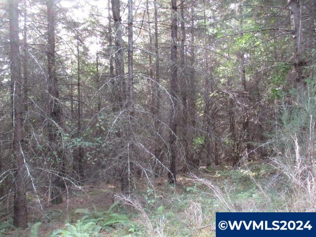 0 Northwest Crane (3) Road Yamhill, OR 97148 - Photo 12 of 14