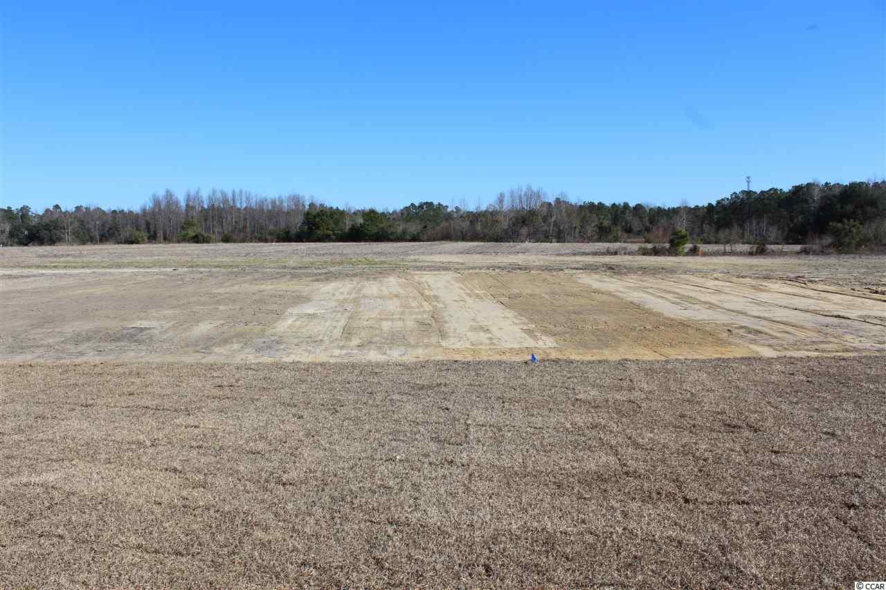 330 Allsbrook Road Loris, SC 29569 - Photo 15 of 19 Gallery Image 15