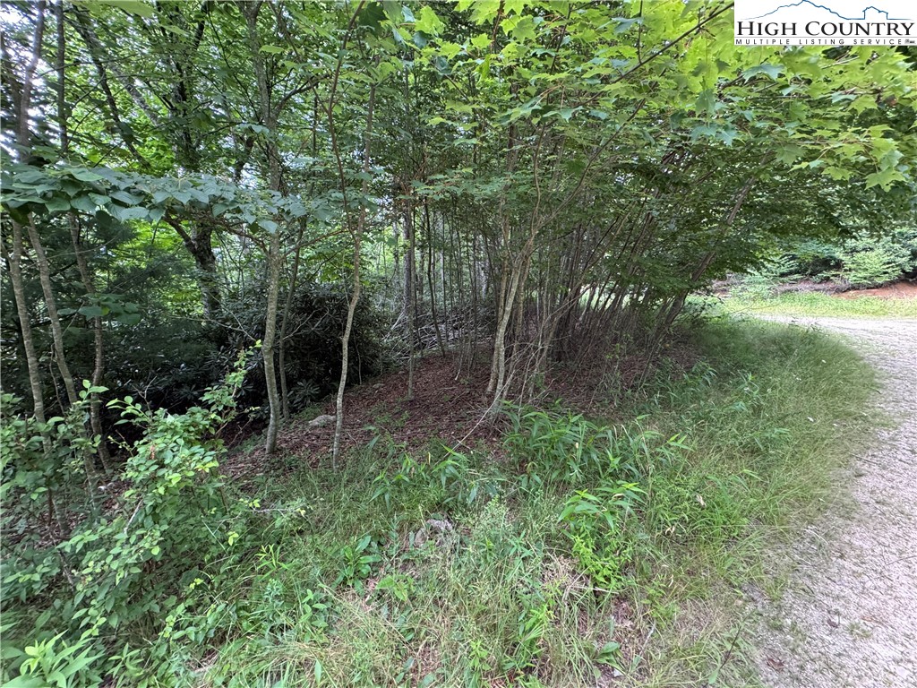 Buckeye Ridge Banner Elk, NC 28604 - Photo 14 of 31