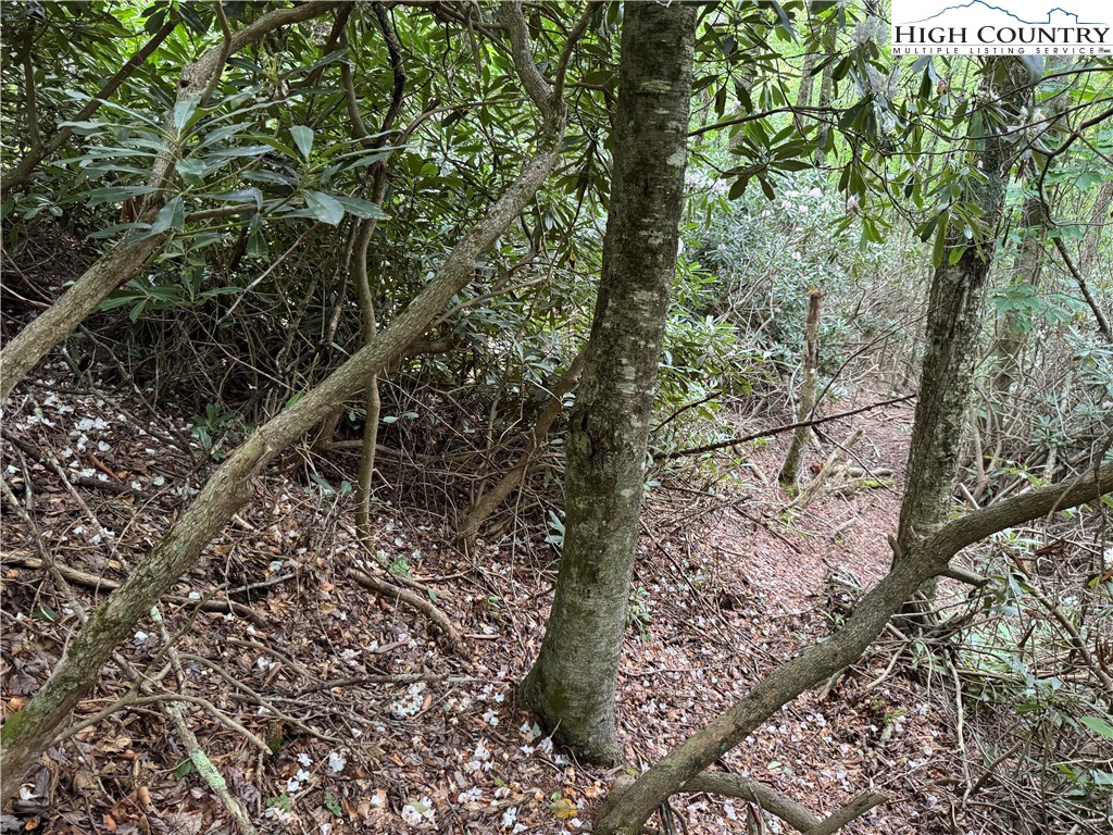 Buckeye Ridge Banner Elk, NC 28604 - Photo 17 of 31