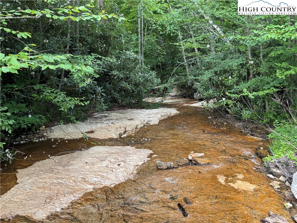 Buckeye Ridge Banner Elk, NC 28604 - Photo 20 of 31