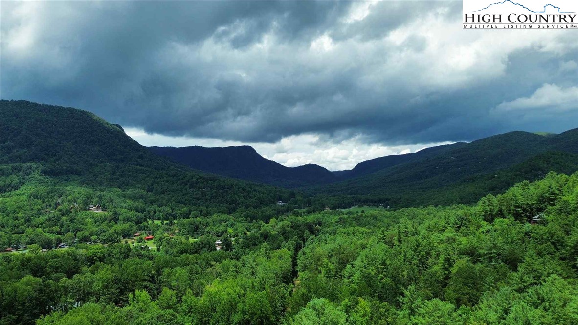 Buckeye Ridge Banner Elk, NC 28604 - Photo 2 of 31