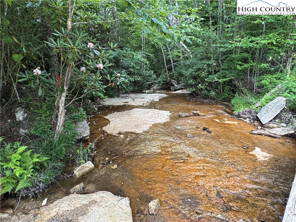 Buckeye Ridge Banner Elk, NC 28604 - Photo 21 of 31