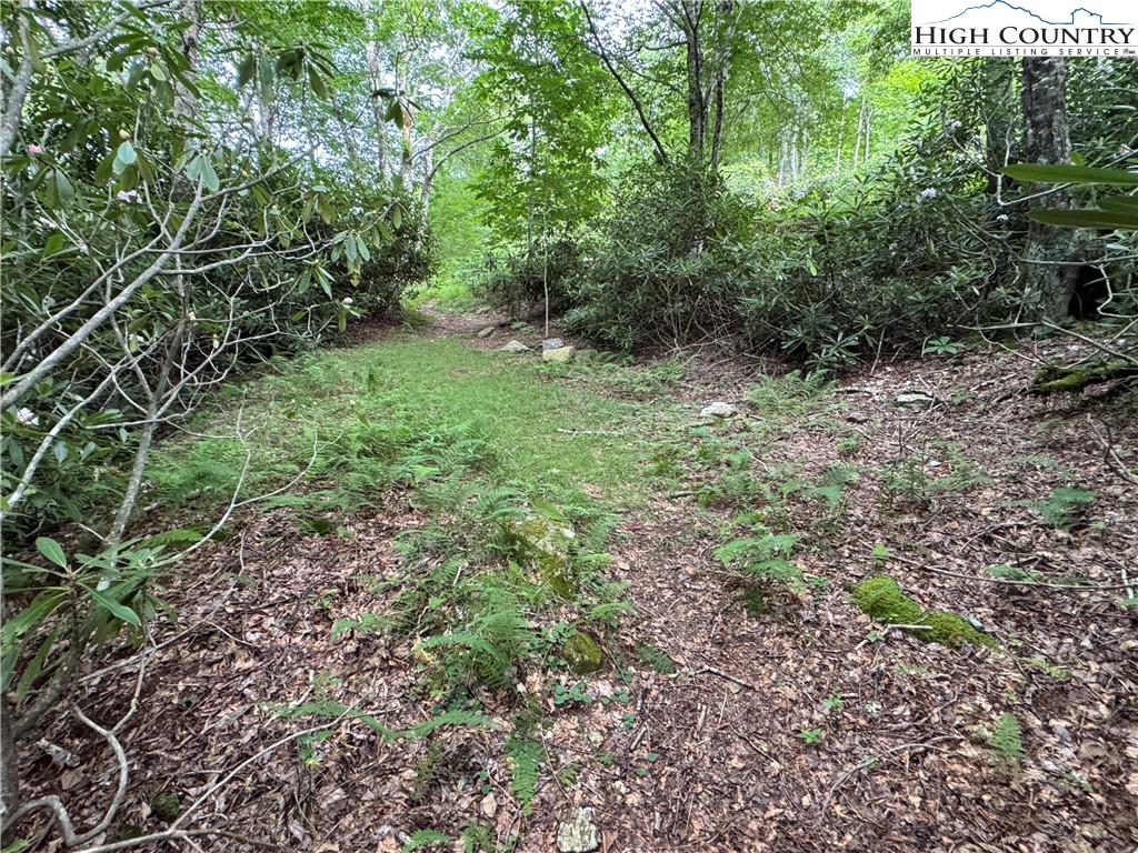 Buckeye Ridge Banner Elk, NC 28604 - Photo 22 of 31