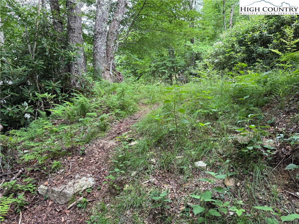 Buckeye Ridge Banner Elk, NC 28604 - Photo 24 of 31