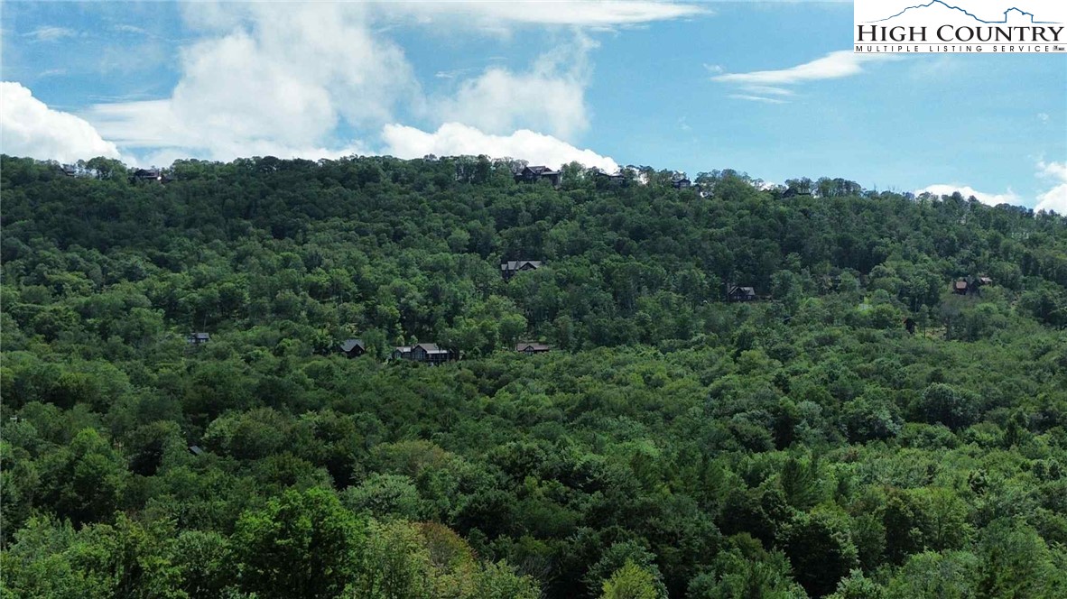 Buckeye Ridge Banner Elk, NC 28604 - Photo 25 of 31