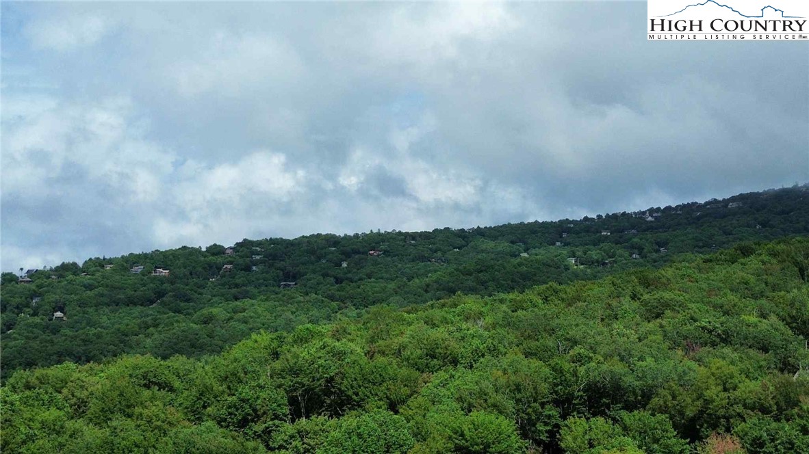 Buckeye Ridge Banner Elk, NC 28604 - Photo 26 of 31