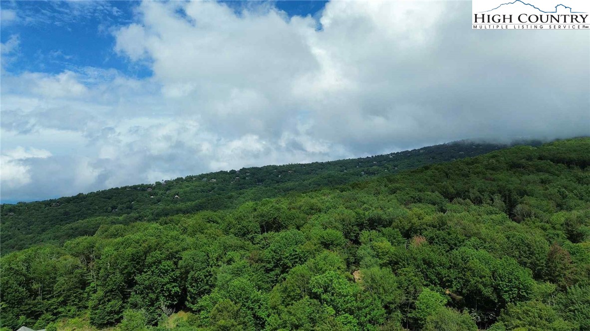 Buckeye Ridge Banner Elk, NC 28604 - Photo 27 of 31