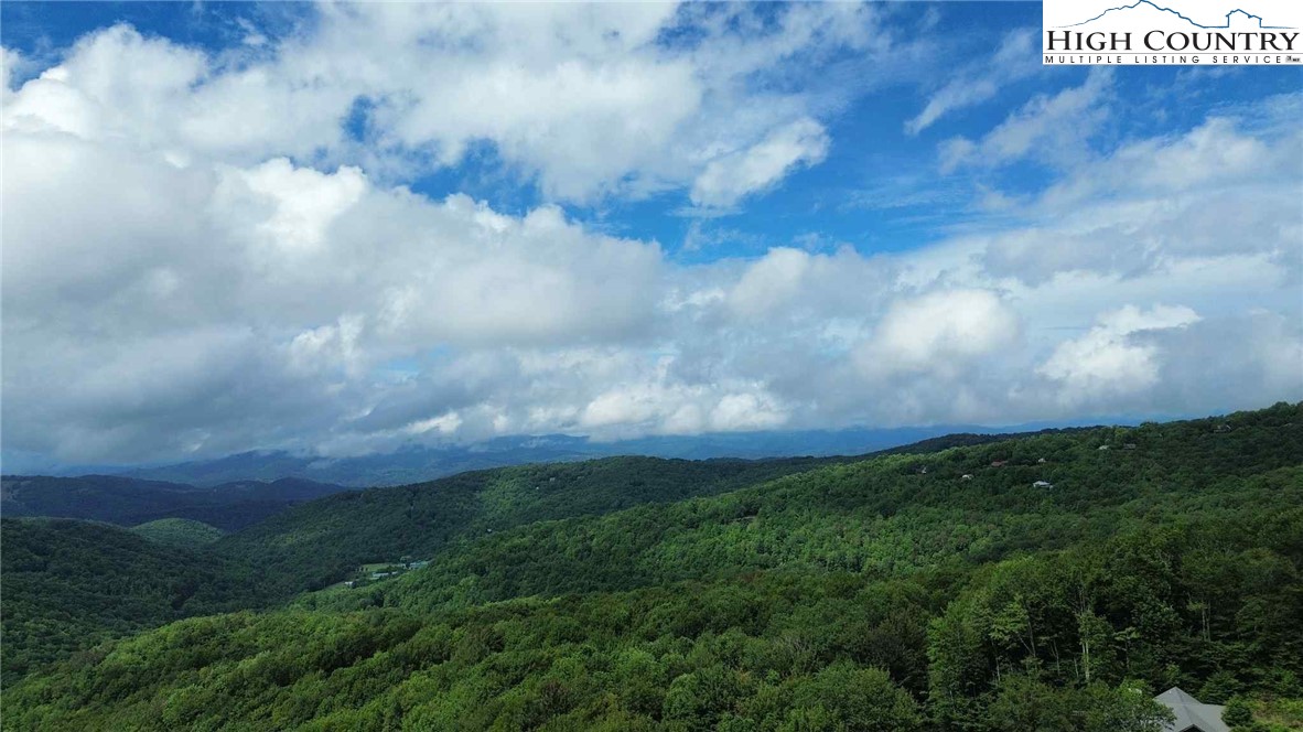 Buckeye Ridge Banner Elk, NC 28604 - Photo 28 of 31