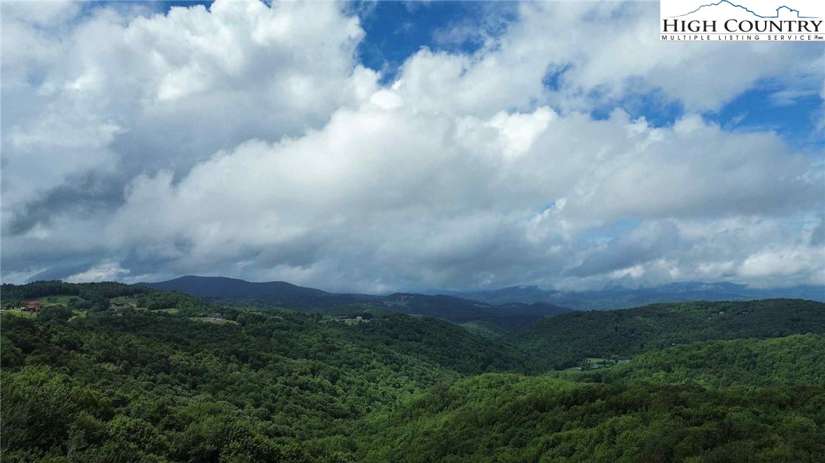 Buckeye Ridge Banner Elk, NC 28604 - Photo 29 of 31