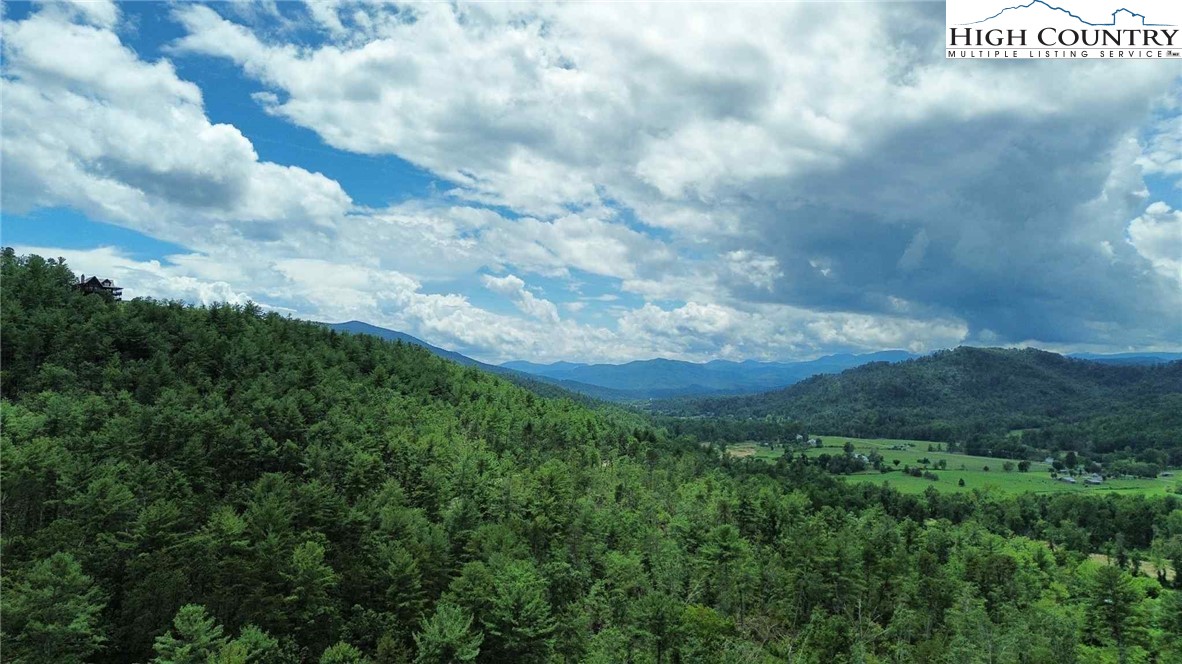 Buckeye Ridge Banner Elk, NC 28604 - Photo 31 of 31