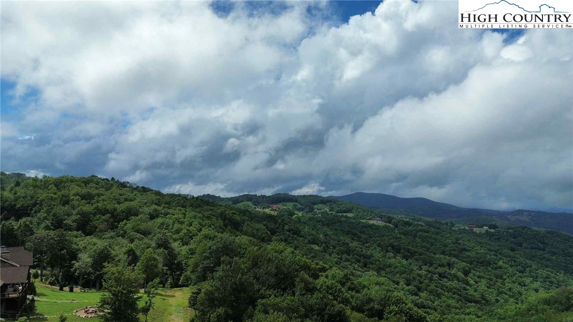 Buckeye Ridge Banner Elk, NC 28604 - Photo 4 of 31