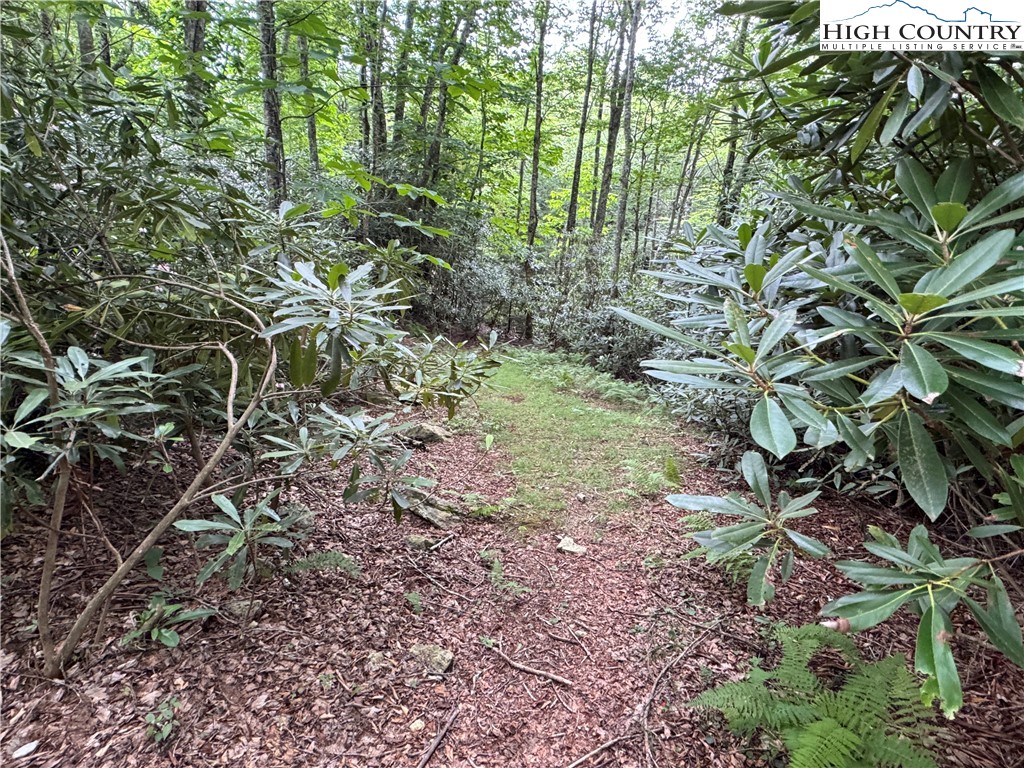 Buckeye Ridge Banner Elk, NC 28604 - Photo 8 of 31