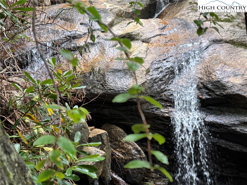 Buckeye Ridge Banner Elk, NC 28604 - Photo 10 of 31