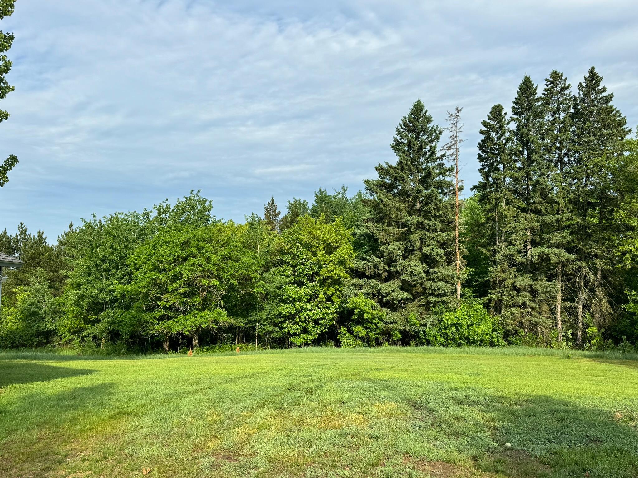 17233 County 13 Nevis, MN 56467 - Photo 24 of 25