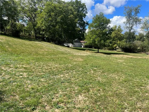 a view of a field with plants and trees