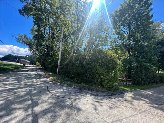 a view of backyard with green space