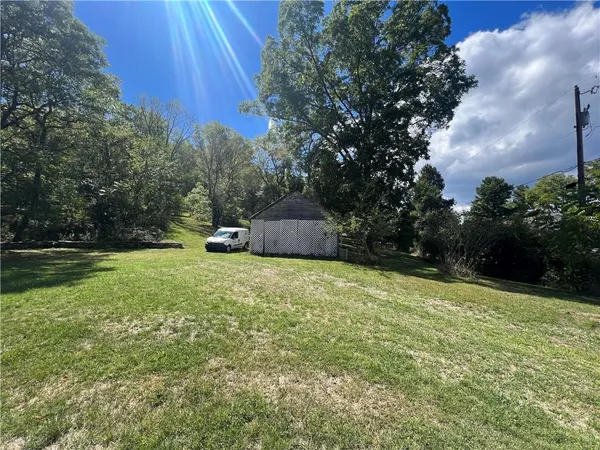 a small garden covered with tall trees
