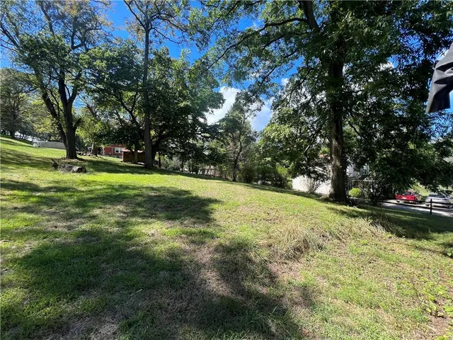 a view of a field with of trees